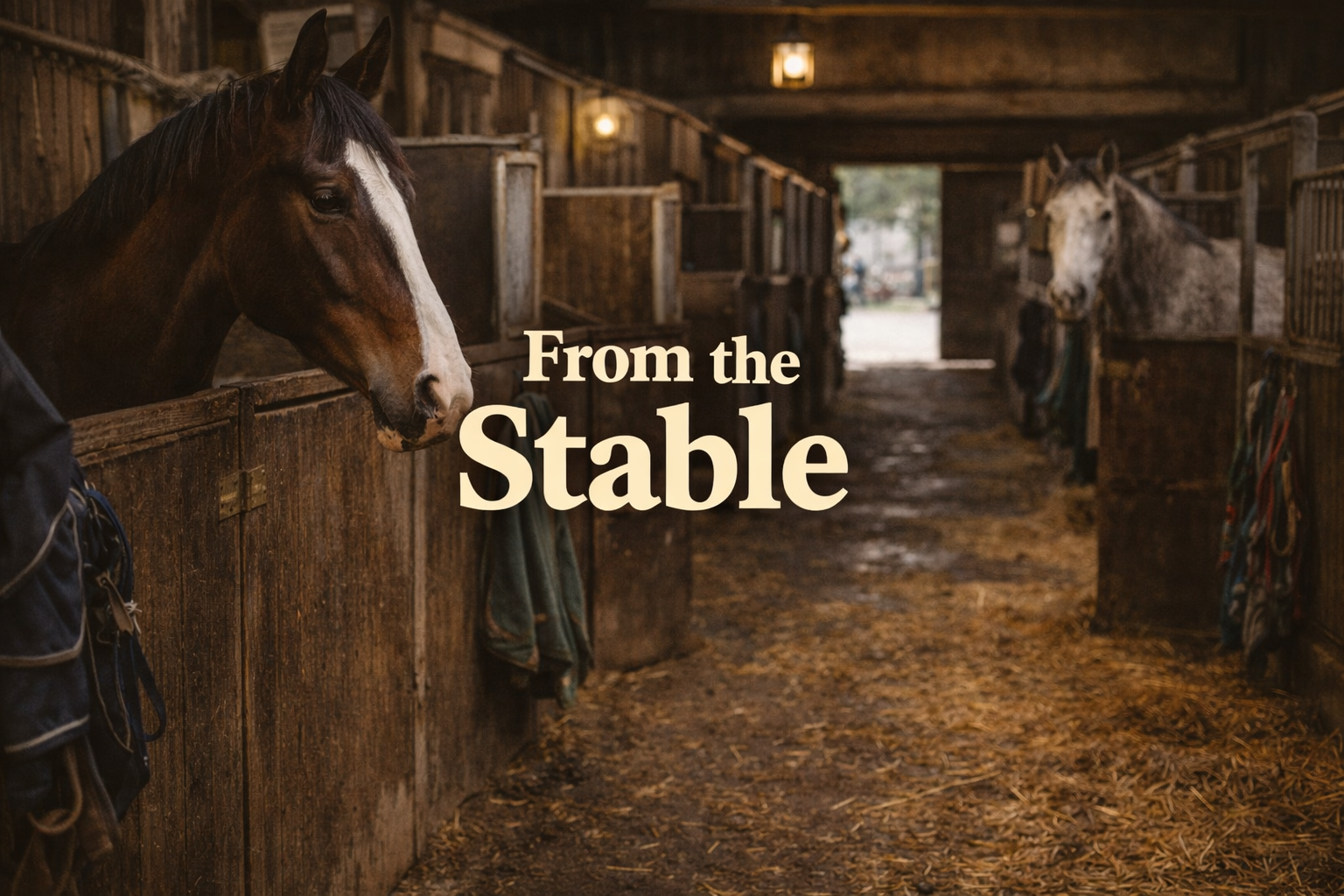 Horse Breed Collection
