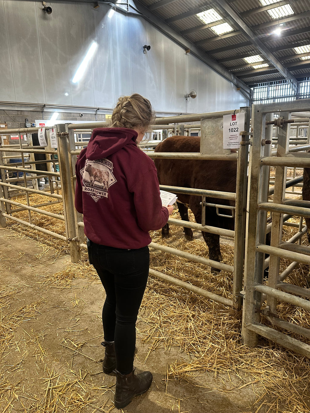 Beef Shorthorn - Womens - Hoodie