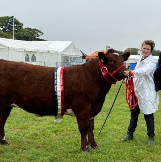 The Prescombe Herd